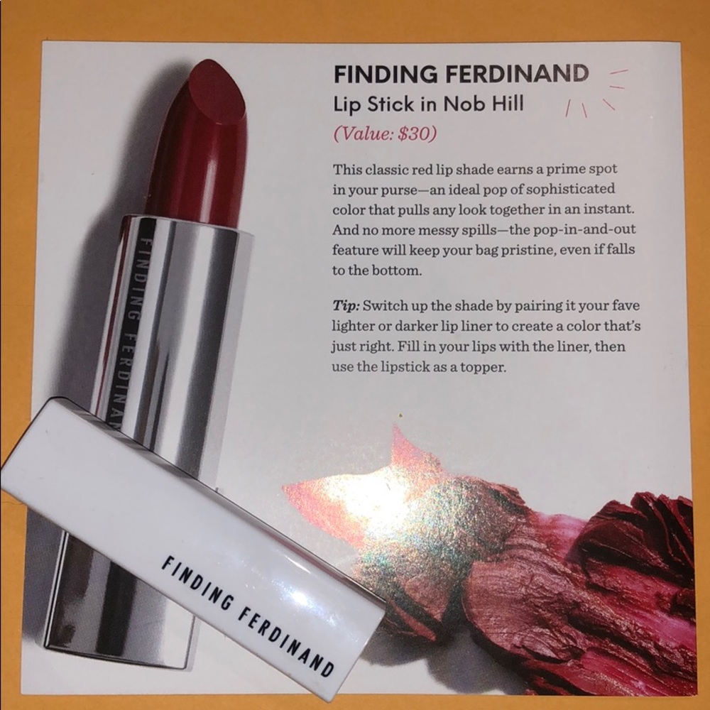 FINDING FERDINAND Lipstick in Nob Hill